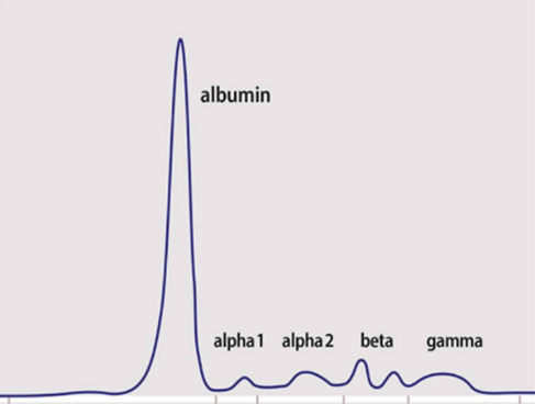 A graph of a blue line
Description automatically generated