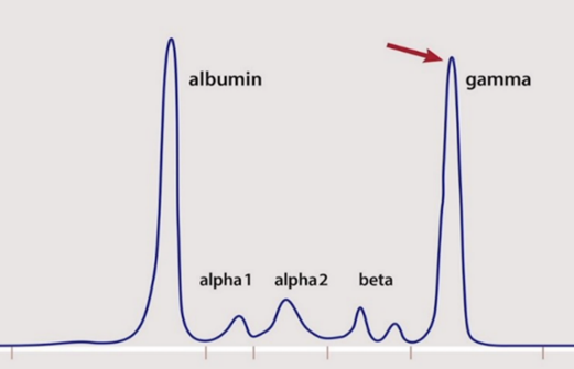 A diagram of a normalized curve
Description automatically generated with medium confidence